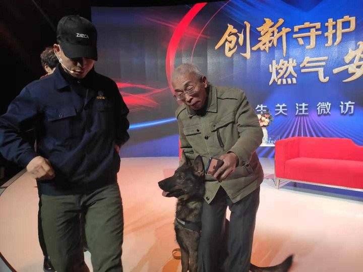 齐鲁晚报网-山东新闻门户 传播品质资讯